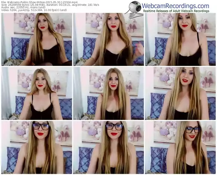 webcams-mitsie-public-show-05_30_2015-12_33_04