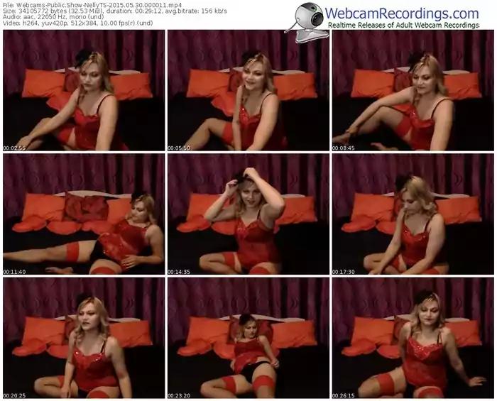 webcams-nellyts-public-show-05_30_2015-00_00_11
