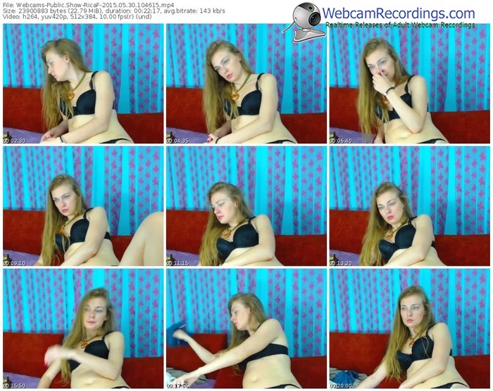 webcams-ricaf-public-show-05_30_2015-10_46_15