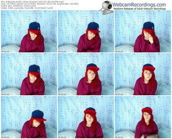 webcams-siennav-public-show-05_30_2015-14_16_58