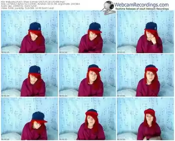 webcams-siennav-public-show-05_30_2015-14_16_58