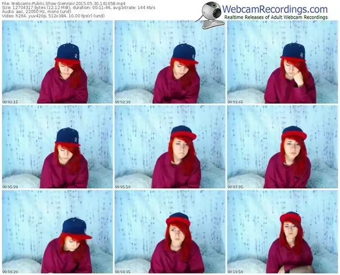 webcams-siennav-public-show-05_30_2015-14_16_58