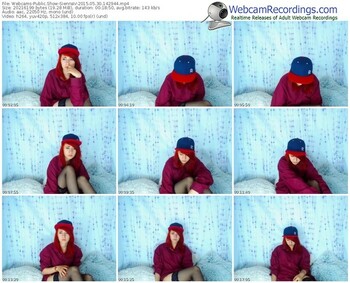 webcams-siennav-public-show-05_30_2015-14_29_44