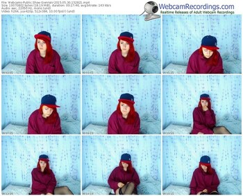 webcams-siennav-public-show-05_30_2015-15_28_21