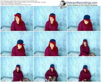 webcams-siennav-public-show-05_30_2015-15_28_21