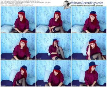 webcams-siennav-public-show-05_30_2015-16_17_09