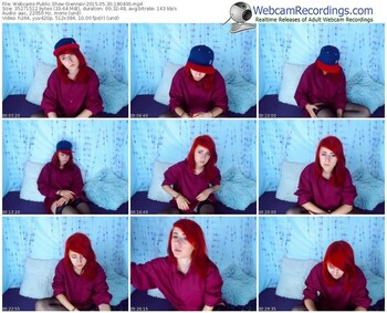 webcams-siennav-public-show-05_30_2015-18_04_00