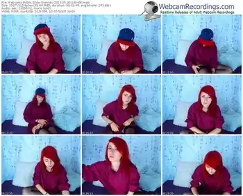 webcams-siennav-public-show-05_30_2015-18_04_00