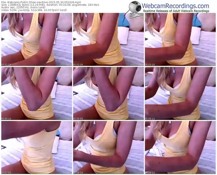 webcams-sexdrive-public-show-05_30_2015-05_24_26