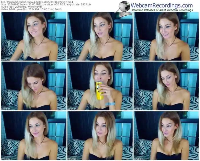 webcams-adellex-public-show-05_31_2015-22_25_07