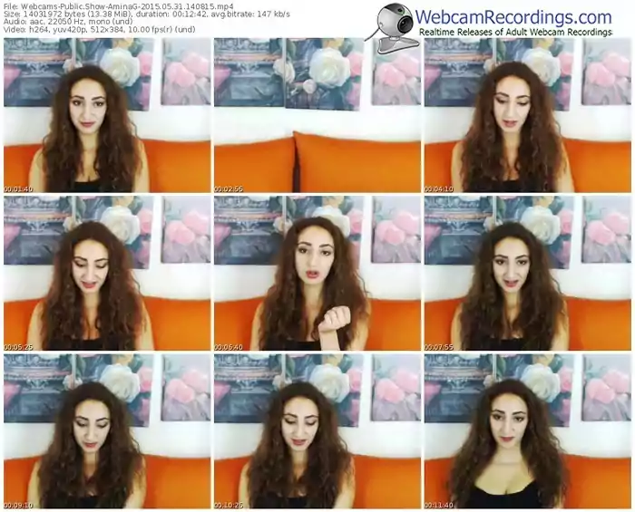 webcams-aminag-public-show-05_31_2015-14_08_15