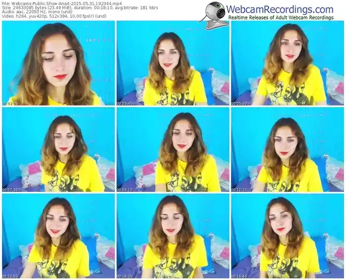 webcams-anait-public-show-05_31_2015-19_23_44