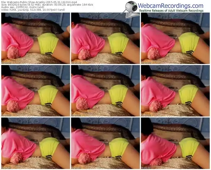 webcams-ariasky-public-show-05_31_2015-16_10_10