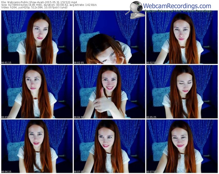 webcams-avag-public-show-05_31_2015-15_15_22