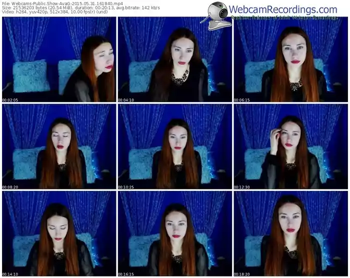 webcams-avag-public-show-05_31_2015-16_18_40