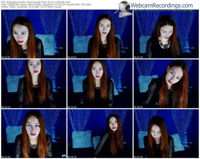 webcams-avag-public-show-05_31_2015-16_54_45