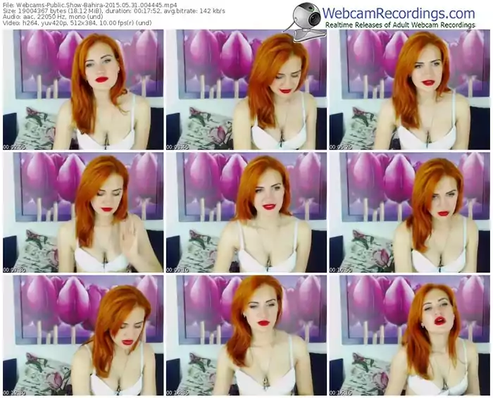 webcams-bahira-public-show-05_31_2015-00_44_45