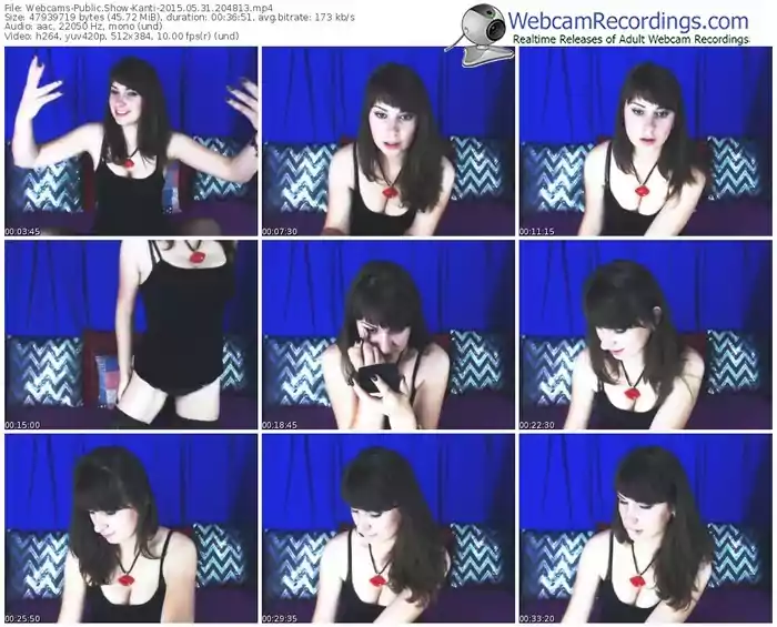 webcams-kanti-public-show-05_31_2015-20_48_13