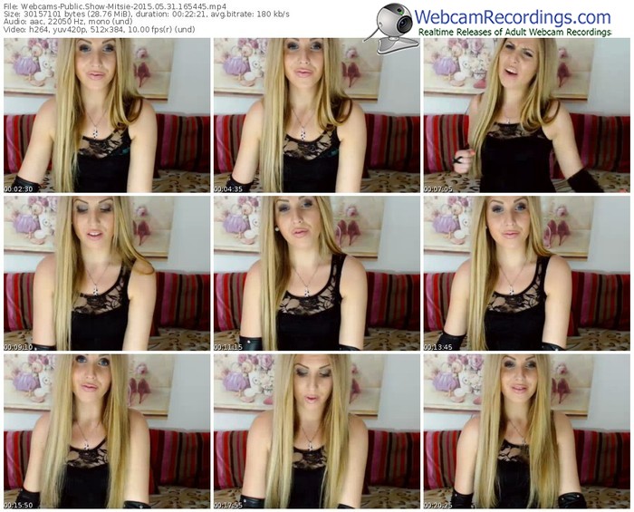 webcams-mitsie-public-show-05_31_2015-16_54_45
