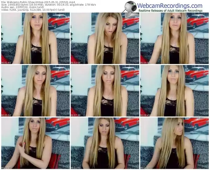 webcams-mitsie-public-show-05_31_2015-20_55_01