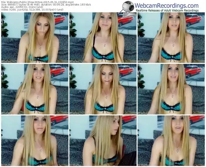 webcams-mitsie-public-show-05_31_2015-22_28_52