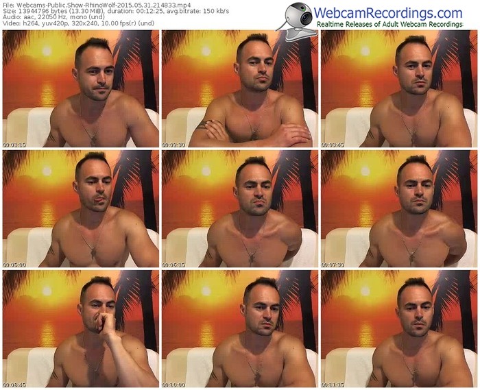 webcams-rhinowolf-public-show-05_31_2015-21_48_33