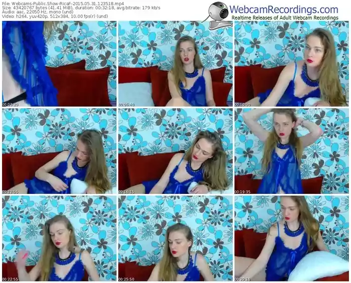 webcams-ricaf-public-show-05_31_2015-12_35_18