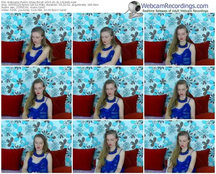 webcams-ricaf-public-show-05_31_2015-16_18_40