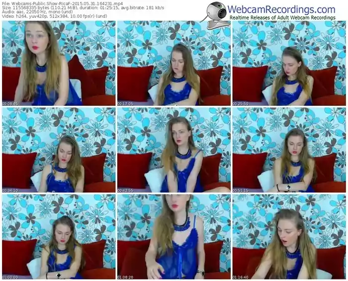 webcams-ricaf-public-show-05_31_2015-16_42_31