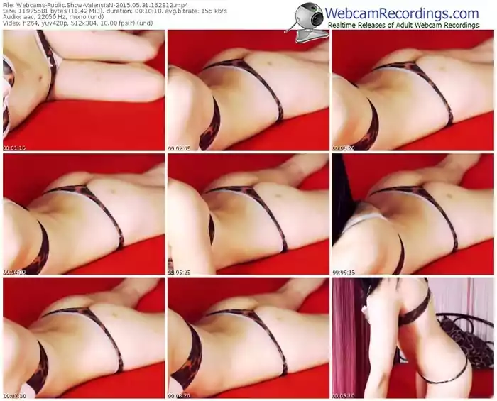 webcams-valensian-public-show-05_31_2015-16_28_12