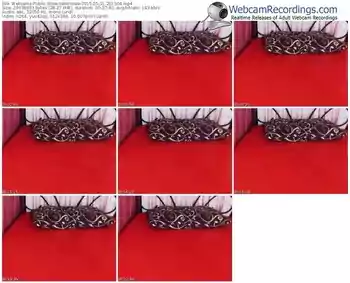 webcams-valensian-public-show-05_31_2015-20_15_04