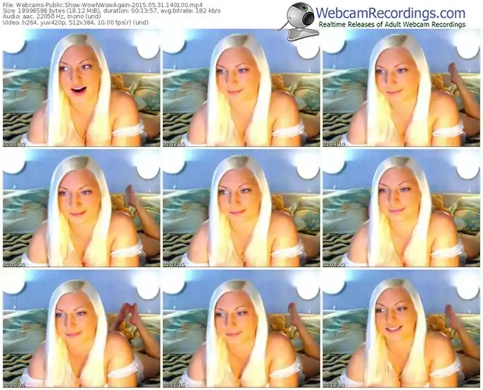 webcams-wownwowagain-public-show-05_31_2015-14_01_00