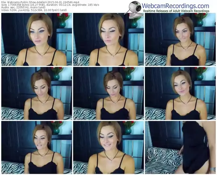 webcams-adellex-public-show-06_01_2015-19_45_46