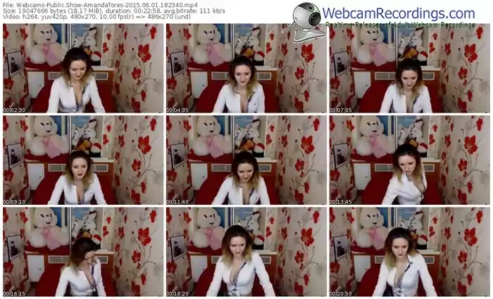 webcams-amandatores-public-show-06_01_2015-18_23_40