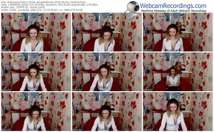 webcams-amandatores-public-show-06_01_2015-19_20_44