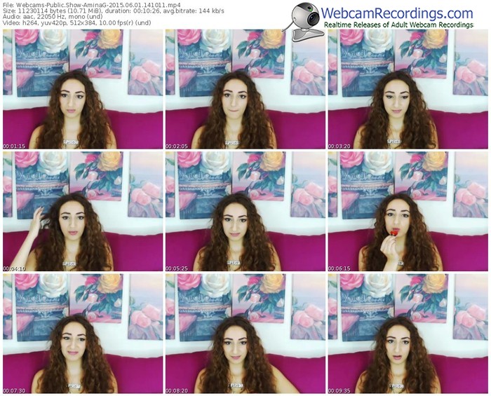 webcams-aminag-public-show-06_01_2015-14_10_11