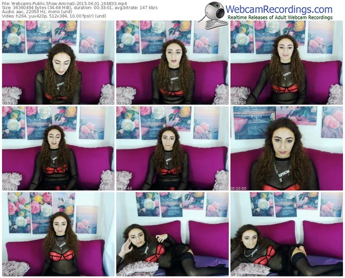 webcams-aminag-public-show-06_01_2015-16_48_33