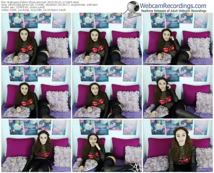 webcams-aminag-public-show-06_01_2015-17_26_05