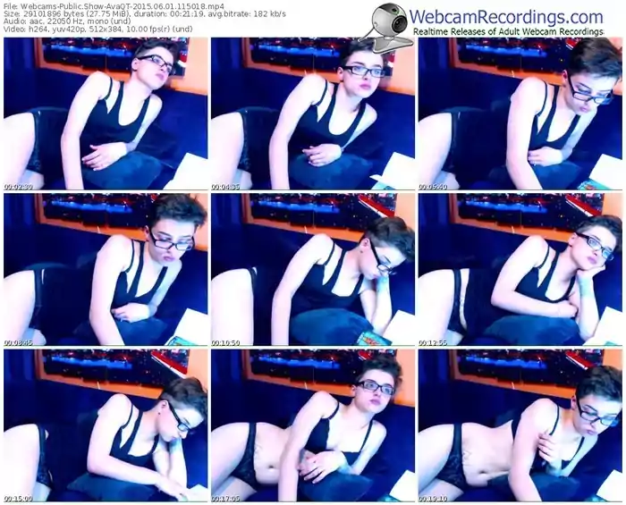 webcams-avaqt-public-show-06_01_2015-11_50_18