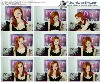 webcams-bahira-public-show-06_01_2015-01_17_47