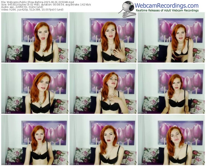 webcams-bahira-public-show-06_01_2015-01_50_48