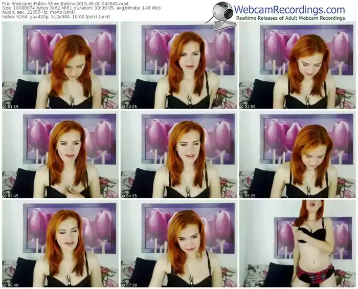 webcams-bahira-public-show-06_01_2015-04_28_42