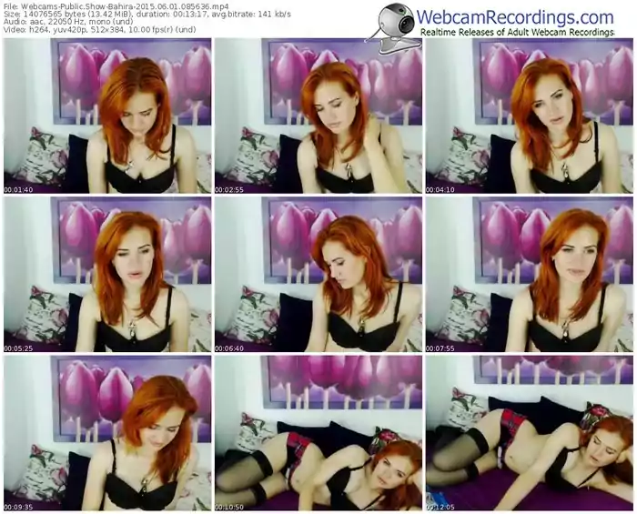 webcams-bahira-public-show-06_01_2015-08_56_36