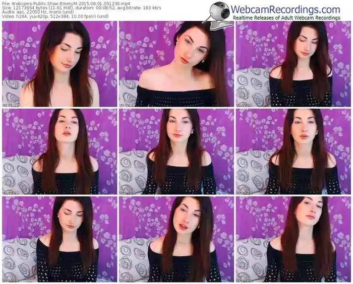 webcams-emmym-public-show-06_01_2015-05_12_30