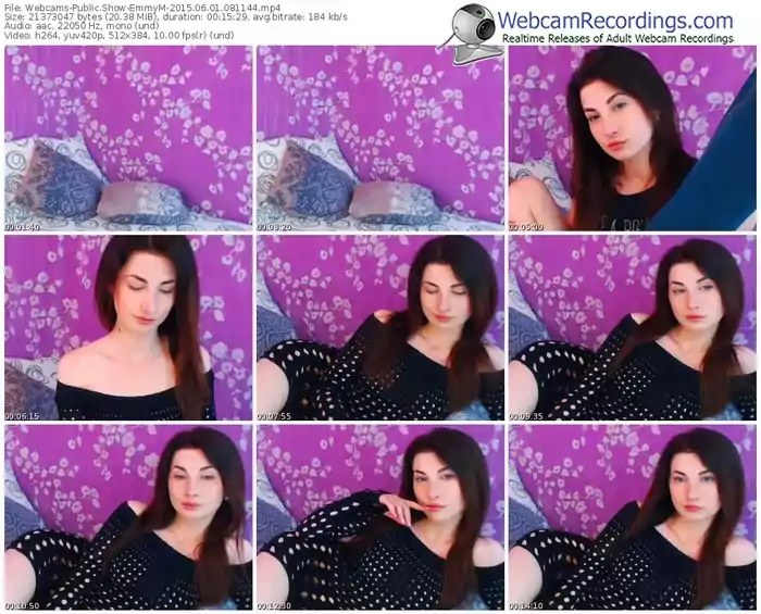 webcams-emmym-public-show-06_01_2015-08_11_44