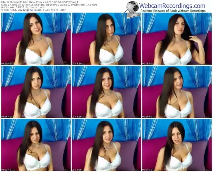 webcams-enlaura-public-show-06_01_2015-00_00_57