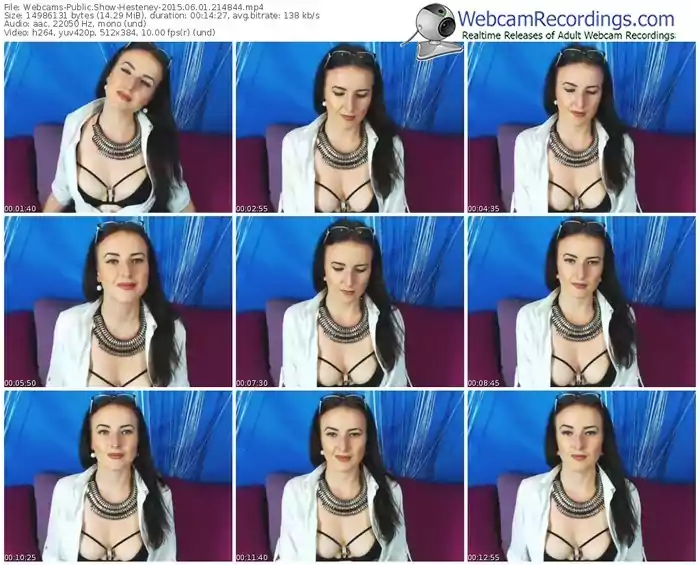 webcams-hesteney-public-show-06_01_2015-21_48_44