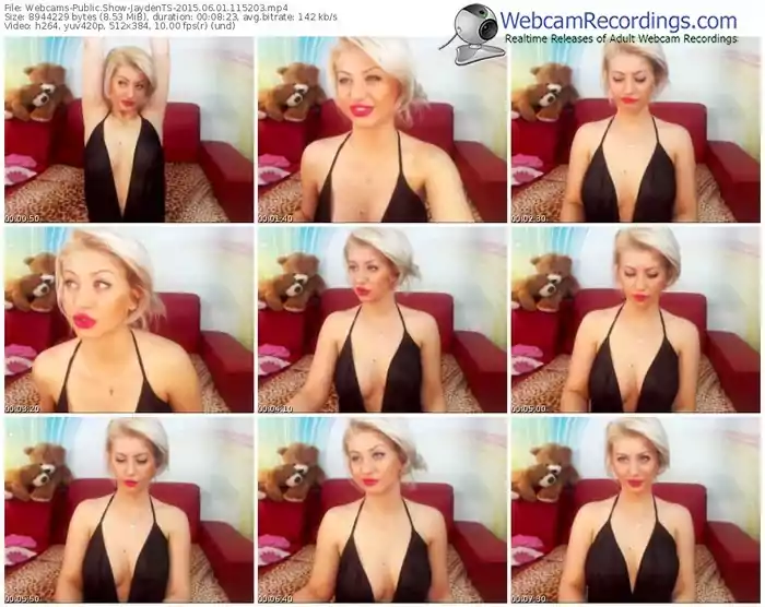 webcams-jaydents-public-show-06_01_2015-11_52_03