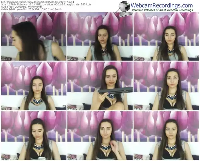 webcams-joshuau-public-show-06_01_2015-23_48_37