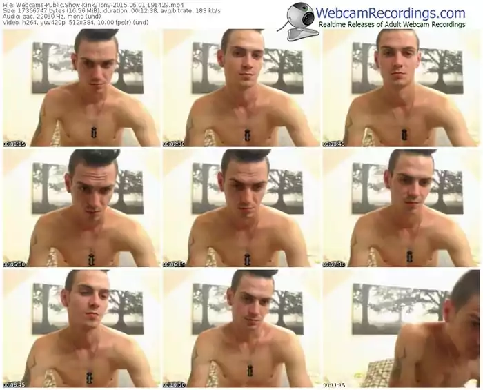 webcams-kinkytony-public-show-06_01_2015-19_14_29